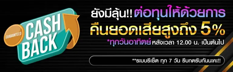 โปรคืนยอดเสีย